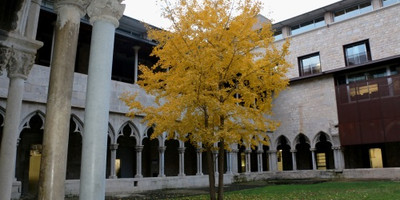 19 E GIRONA02_FOTO1.JPG