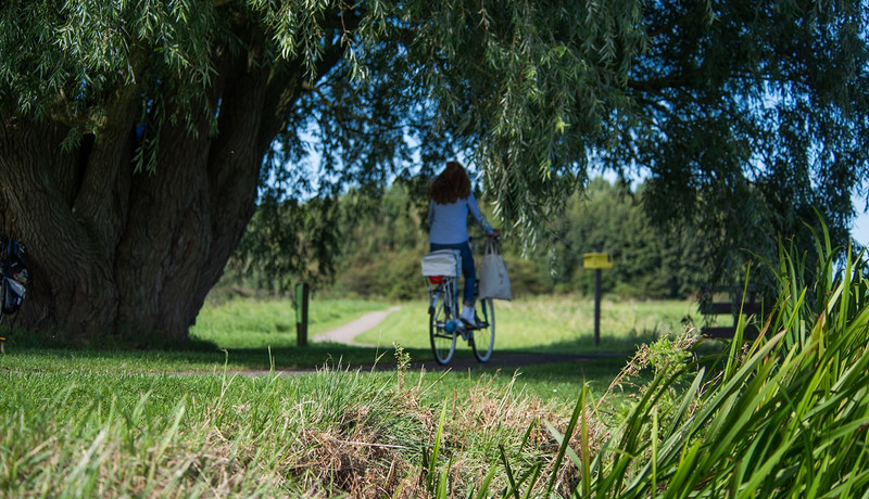Beeld fietser voor Mobisitie.jpg