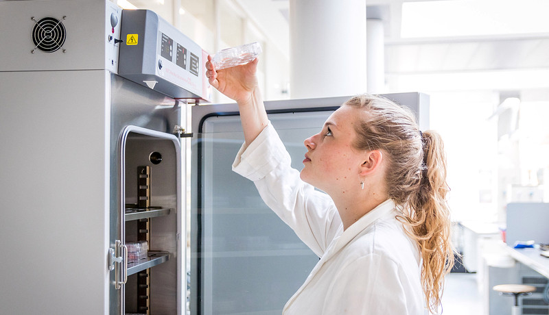 Student BML Research bekijkt petrischaaltje