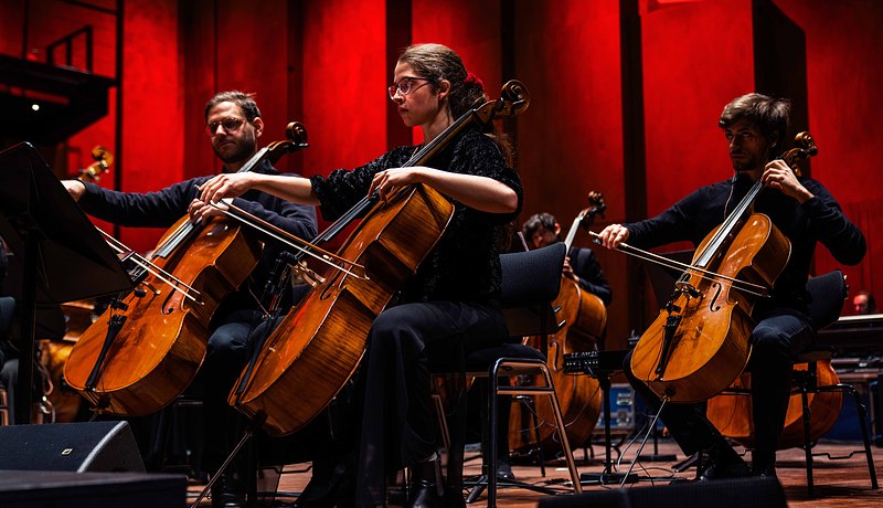 Cello Prins Claus Conservatorium