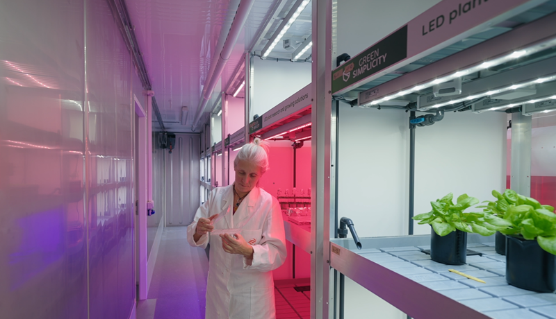 Désirée den Os in LEDs Grow Plants.png