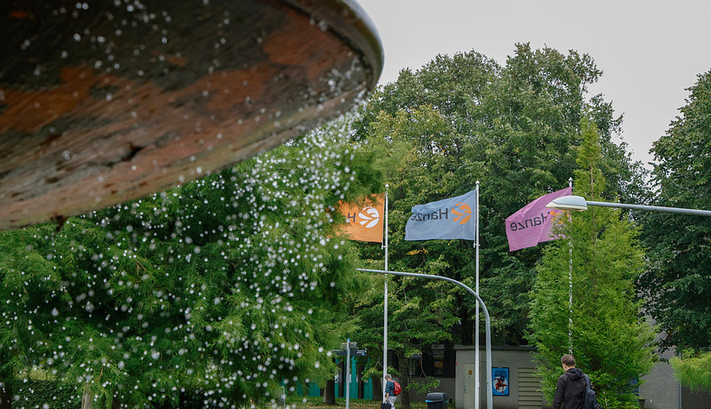 Hanze vlaggen september 2024.jpg