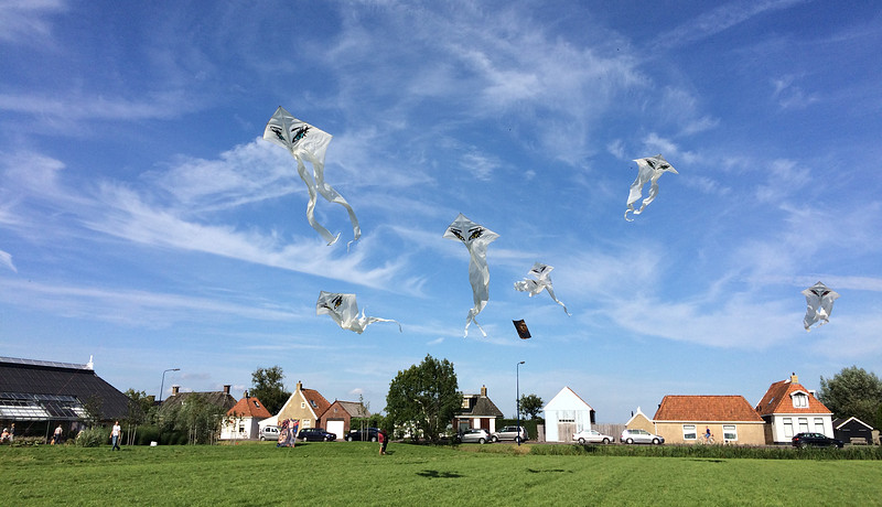 Leefomgeving in Transitie - vliegers