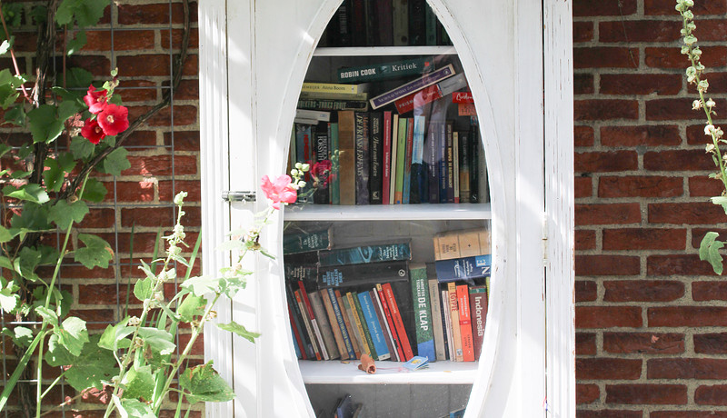 Foto van een buurtbieb voor een muur met stokrozen