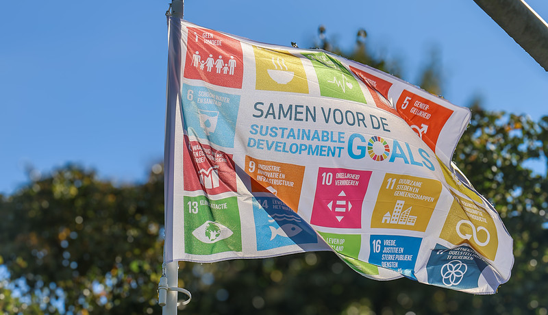 SDG flag