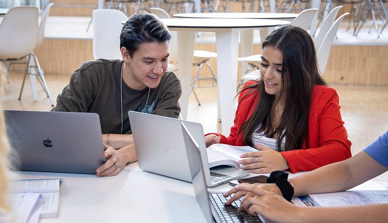 Studievoortganggroep