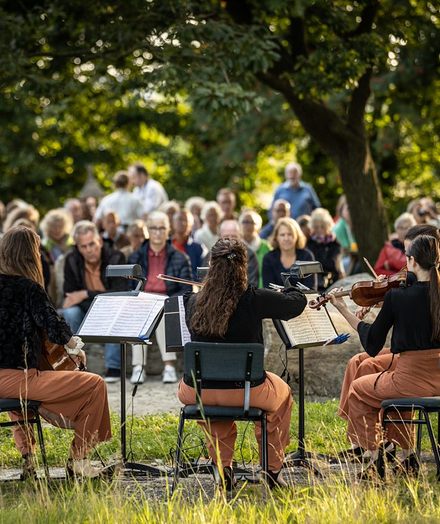 Sunrise concert4.jpg
