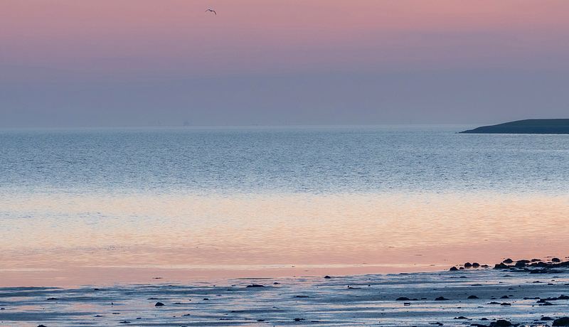 Wadden gebied.jpg
