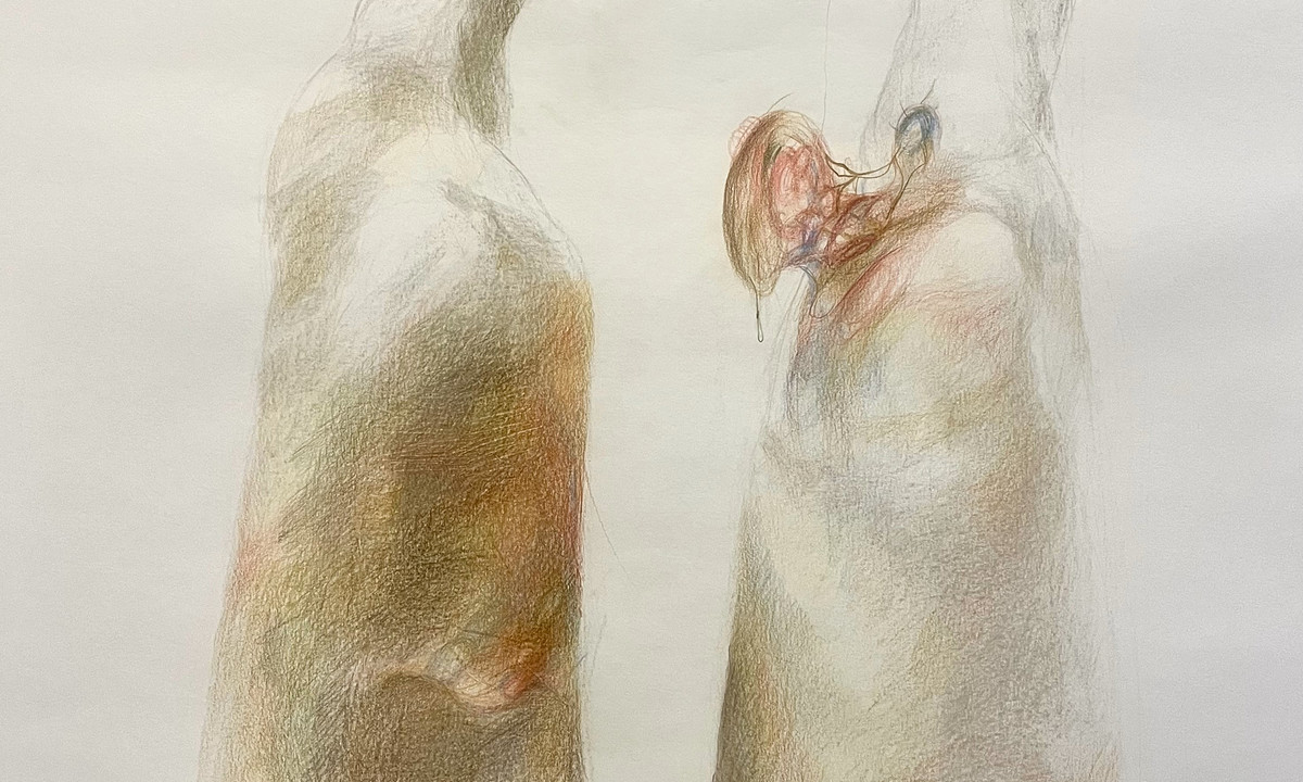 Alice Apolónia Custódio final work.jpg