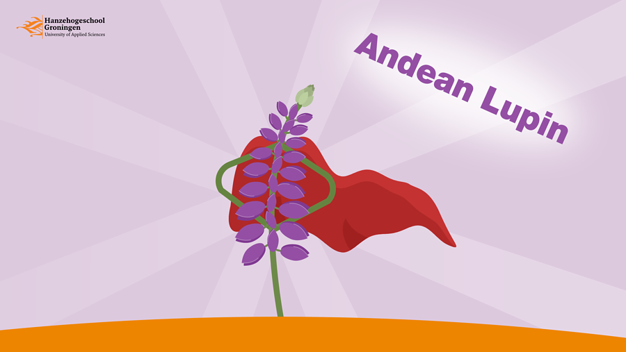 Andean Lupin1.png