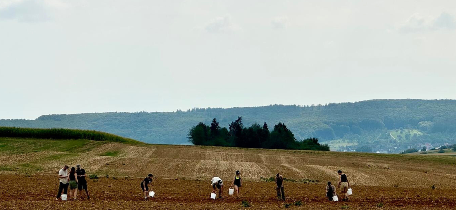 Veldwerk archeologie