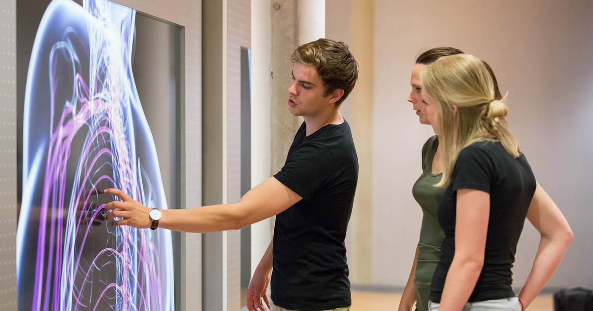 Bachelor Physiotherapy  Study programmes  Saxion