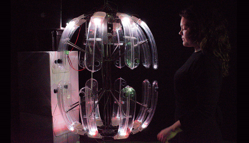 banner-afbeelding-kaia-the-living-co2-filter.jpeg