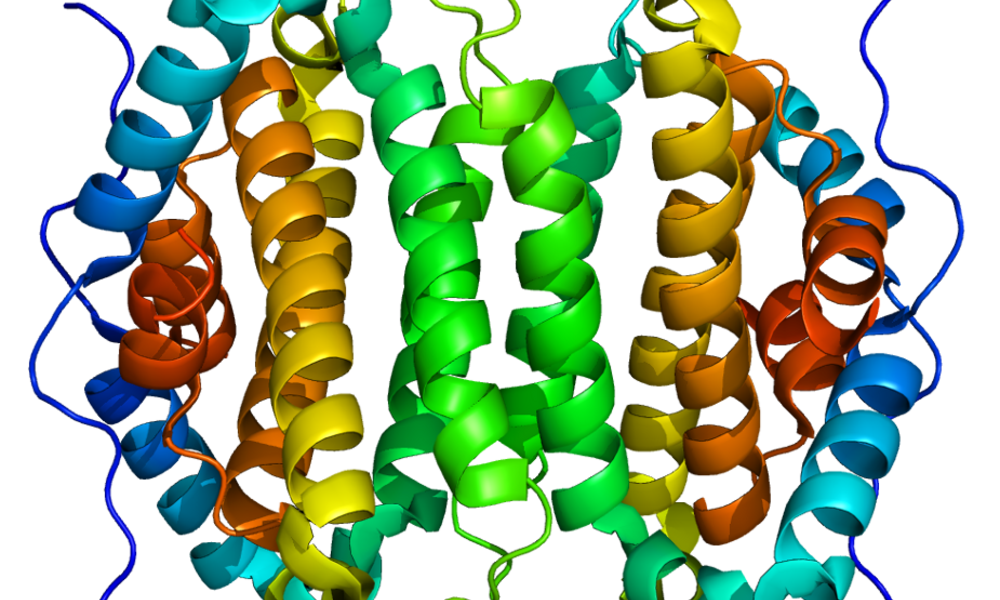 BIN Thema 8 Omics.png