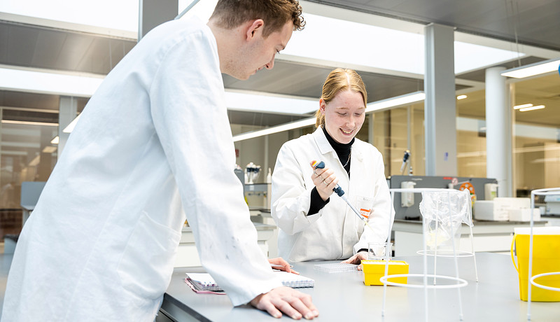 biomedical engineering