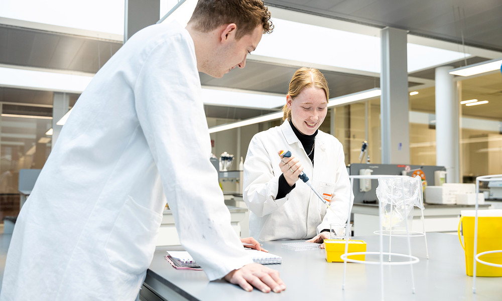 biomedical engineering