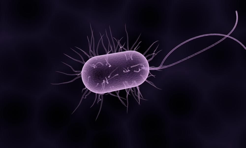 BML Research Thema 6.png