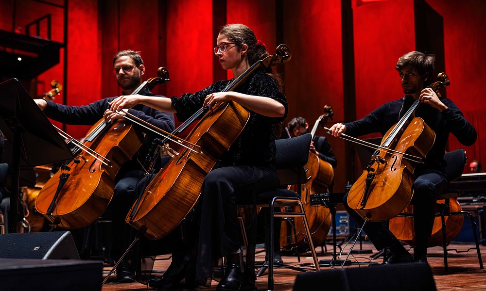 Cello Prins Claus Conservatorium