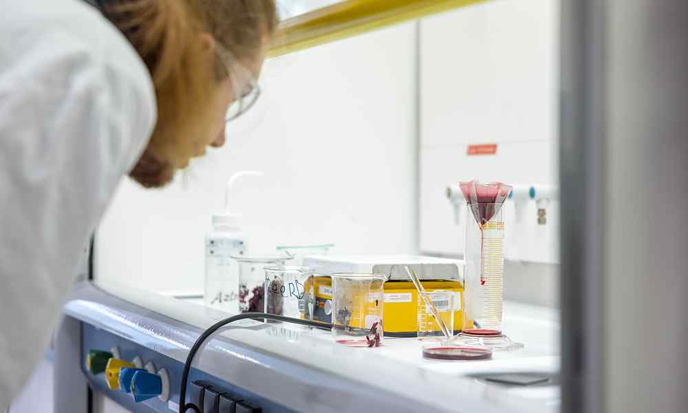 Chemie 2024 4.jpg