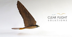 Clear Flight Solutions logo.jpg