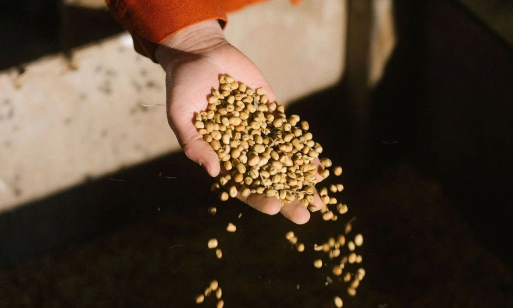 De Graanrepubliek Granola.png