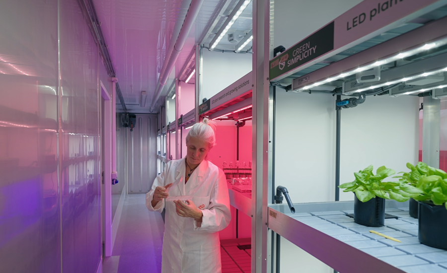 Désirée den Os in LEDs Grow Plants.png