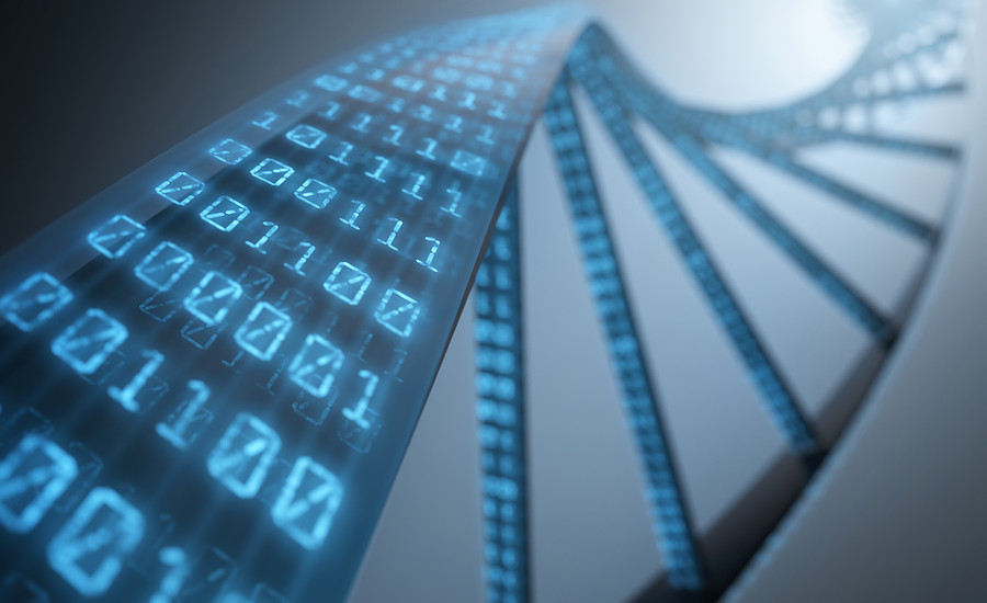 DNA met computercode.jpg