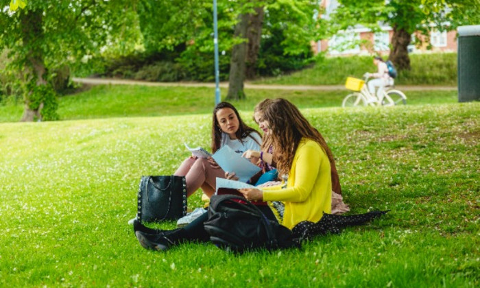 Ervaringsdeskundigheid