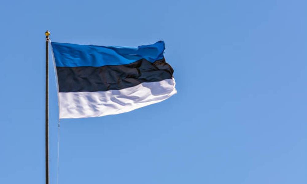 estonia flag.jpg
