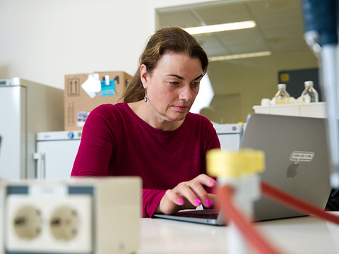 Fenna Feenstra werkt in een lab aan een data science project voor het Kenniscentrum Biobased Economy.
