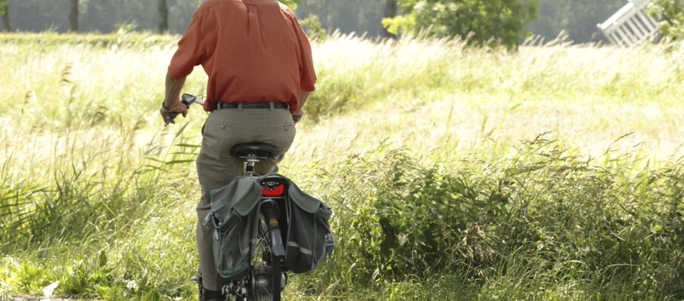 Een man fietst op een paadje door een grasveld