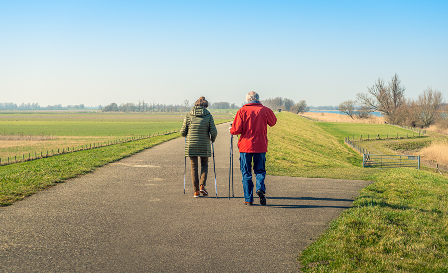 Hanze-HealthyAging_Ruimte voor een gezonde leefstijl_D.png
