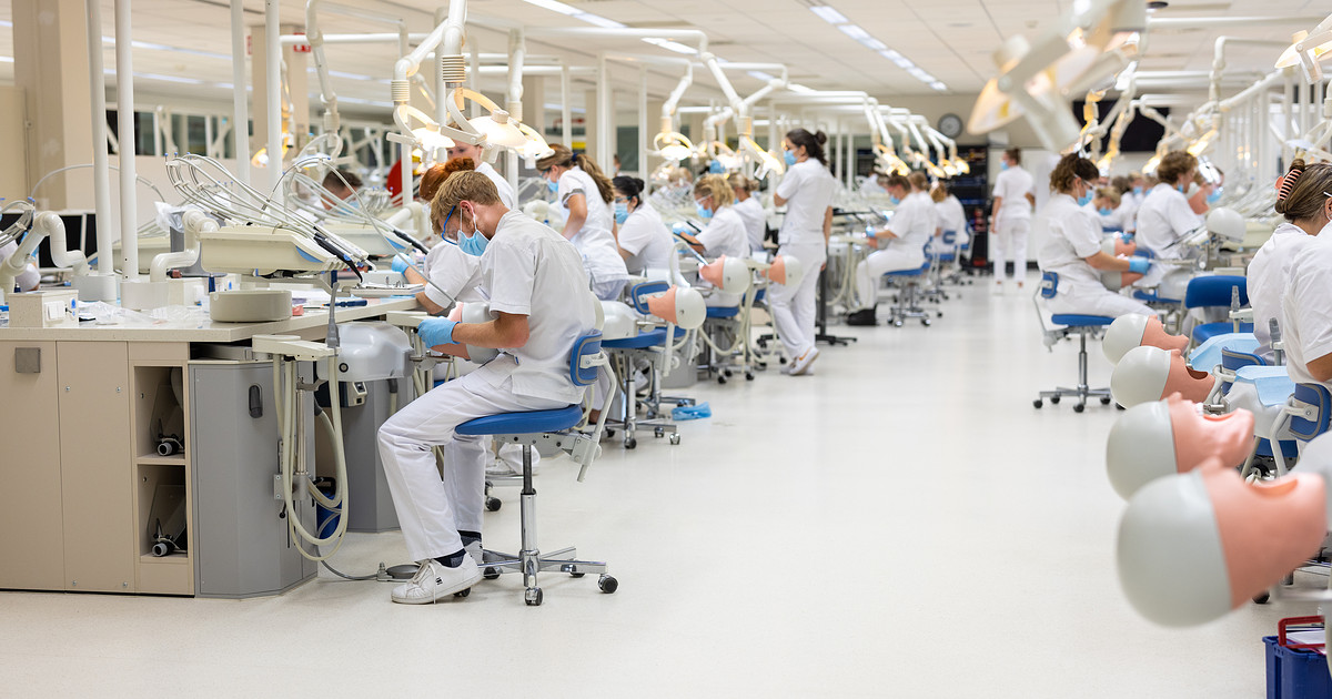 Studenten op de campus van Hanze University tijdens een mondzorgpraktijkles