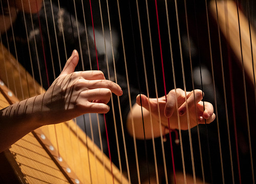 Harp.JPG