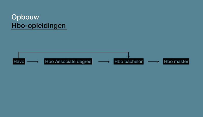 Havo - opbouw van hbo-opleidingen.png