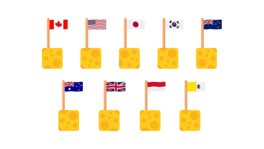 Immigration procedure VVR international flags.jpg.jpg