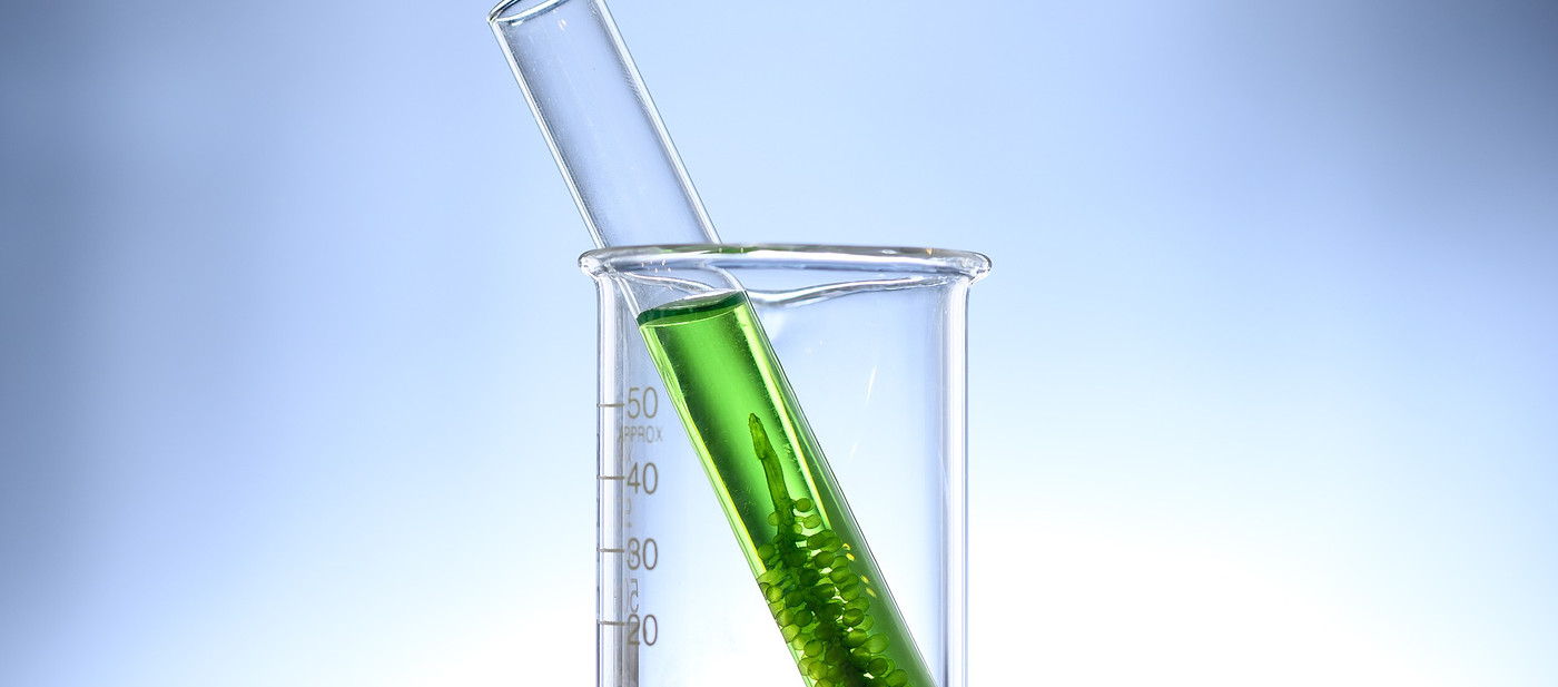 IWP Algen & Wieren.jpg