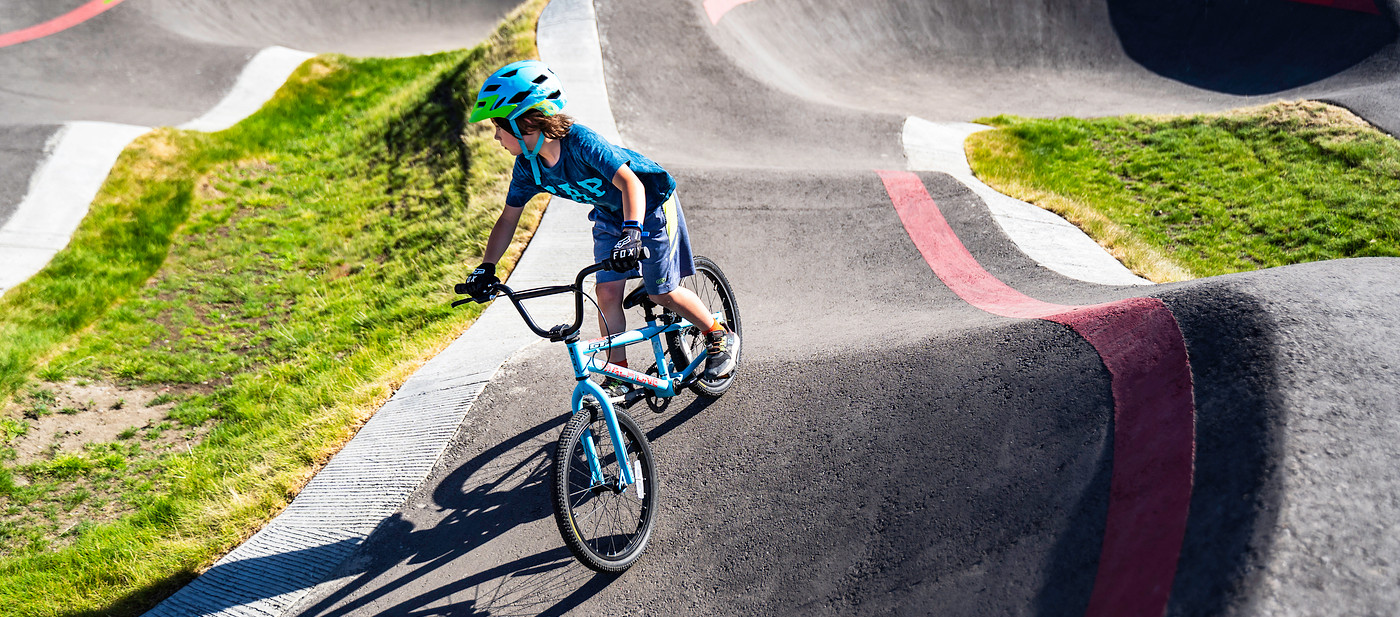 IWP beeld - Vitaliteit & Gedrag.jpg