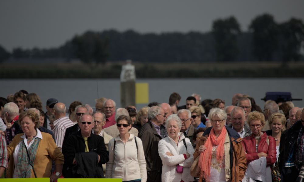 IWP senioren c-foto.png