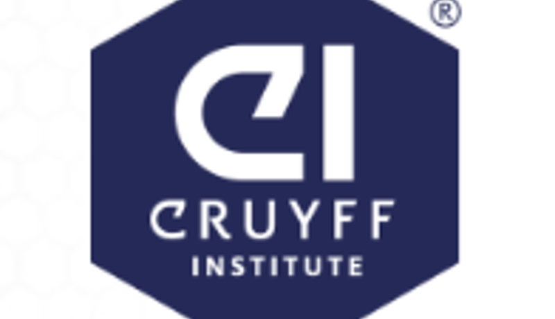 johan cruyff institute.PNG