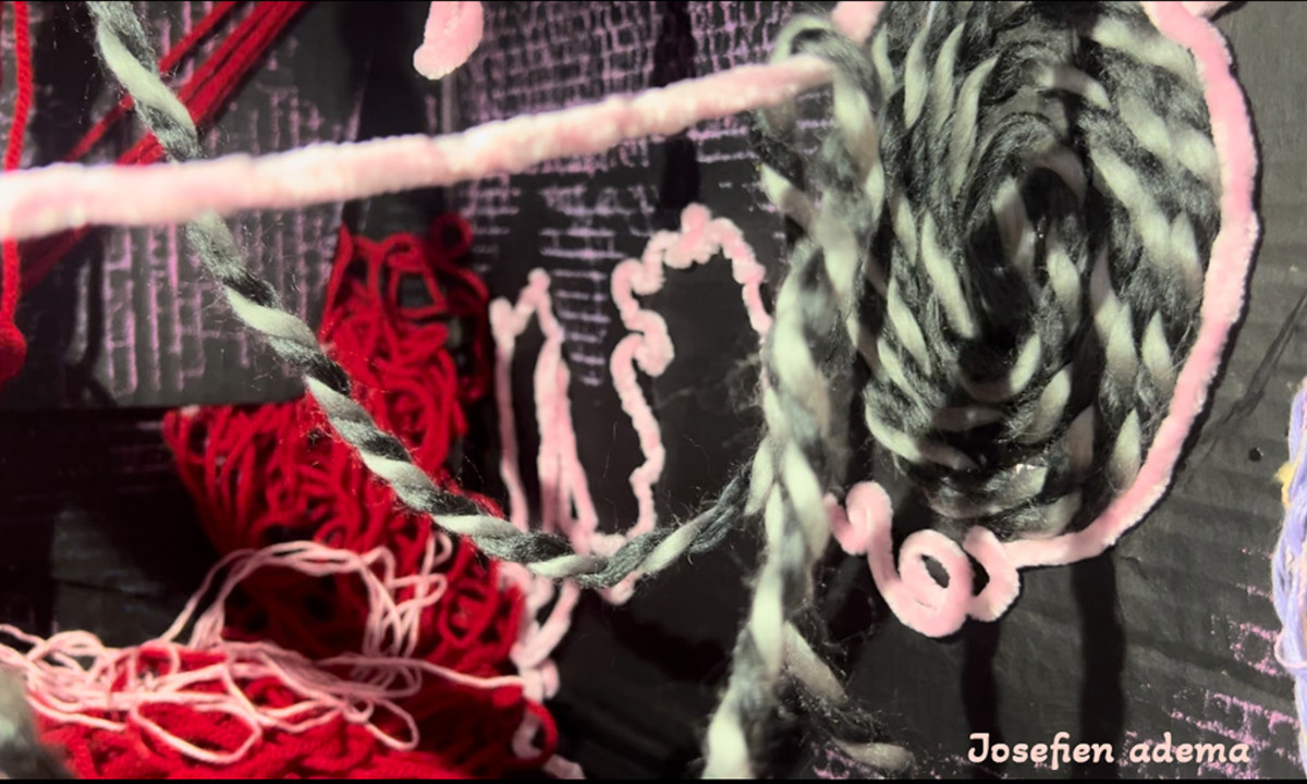 Josefien Adema set up.jpg