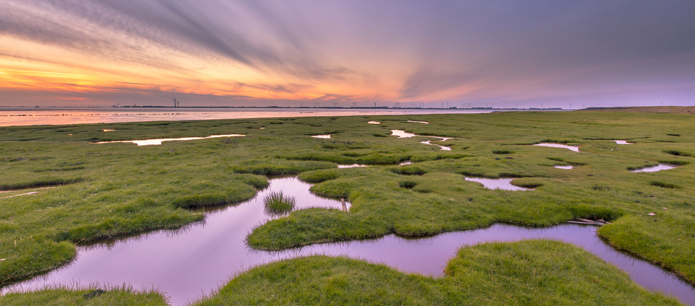 Landaanwinning Dollard.jpg