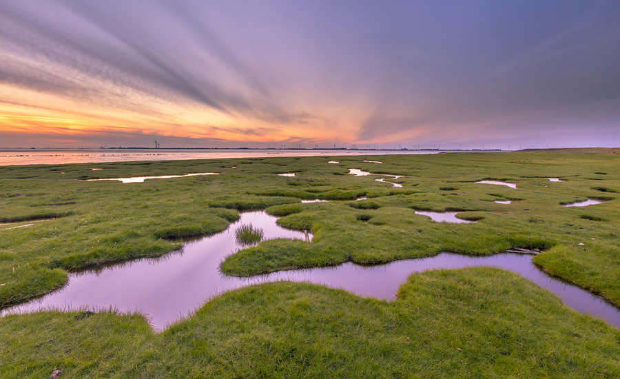 Landaanwinning Dollard.jpg