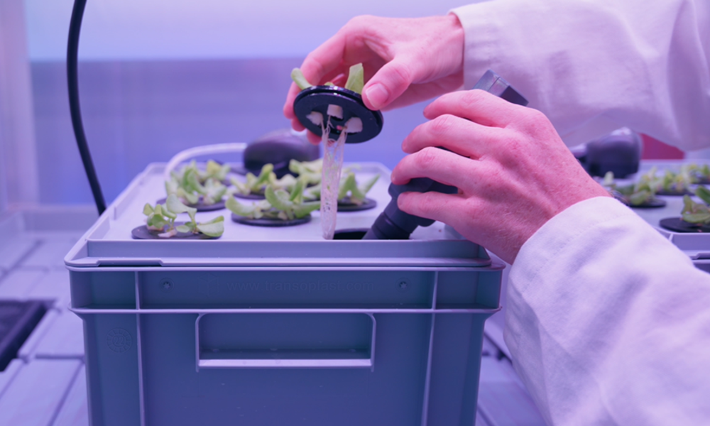 LEDs Grow Plants detail.png