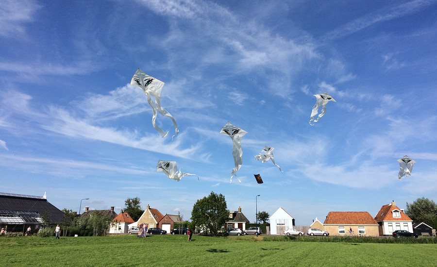 Leefomgeving in Transitie - vliegers