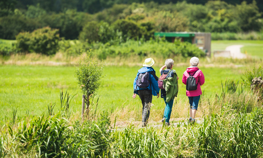 Leeropdracht Public Health and Healthy Ageing