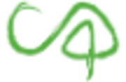 logo c4youth.png