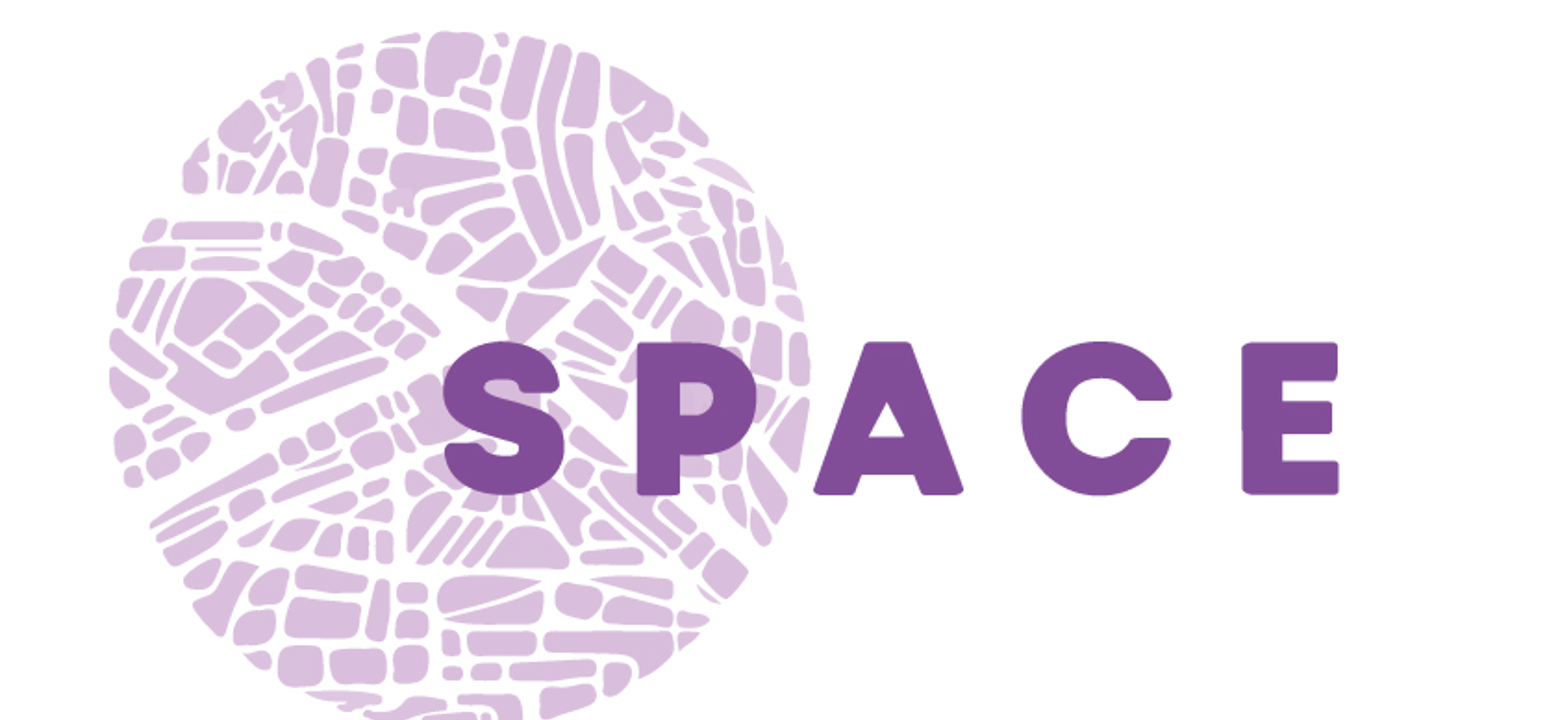 Logo space jpg ngjyra.png