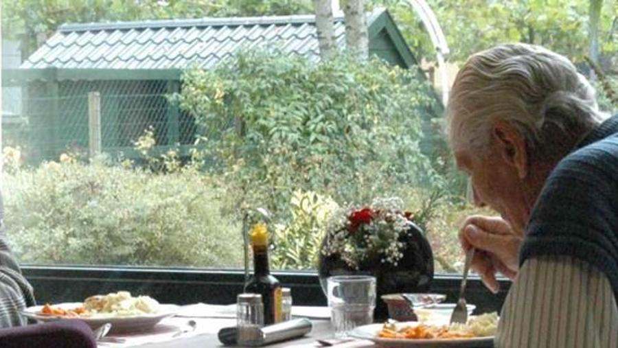 malnutrition and healthy ageing.jpg