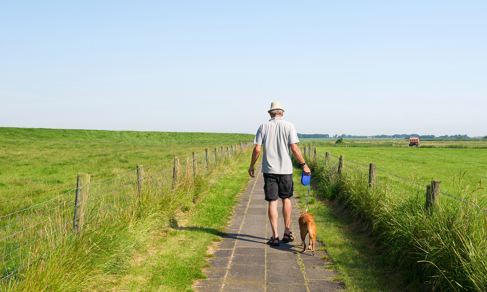 Man wandelt met hond in natuur